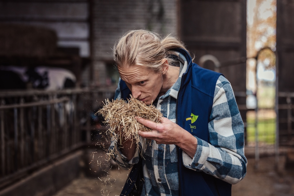biologisch boeren in Friesland