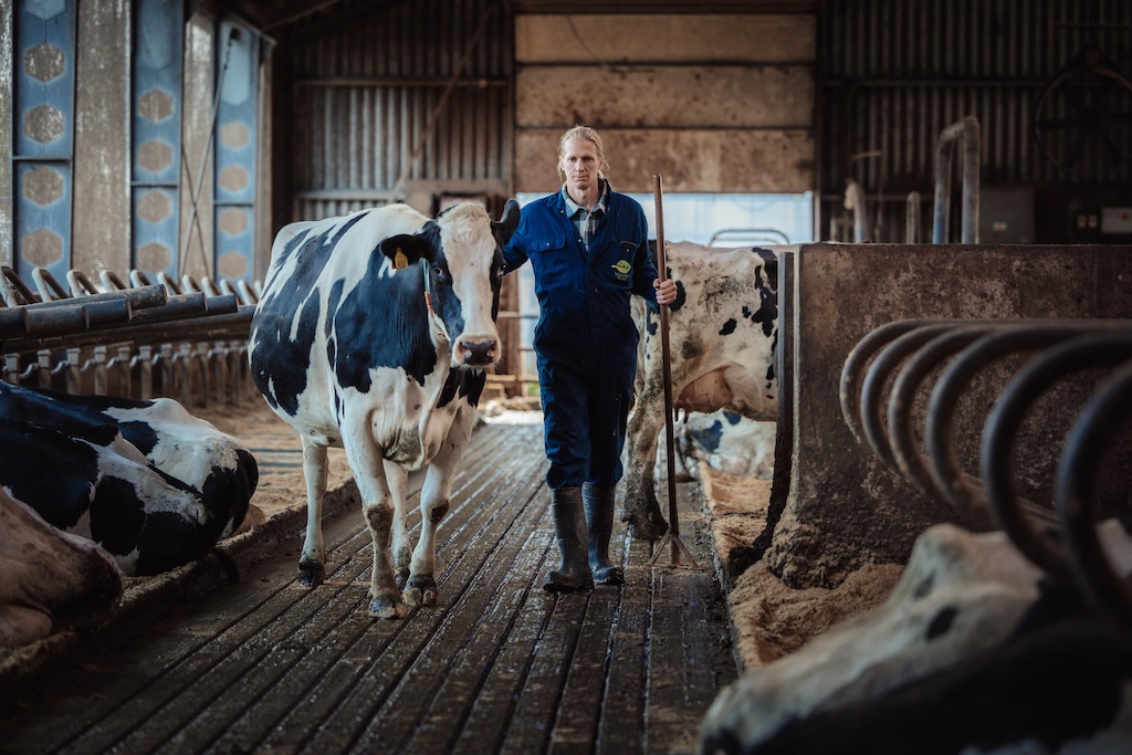 Vergaderlocatie op boerderij bij Leeuwarden met uitzicht op stal