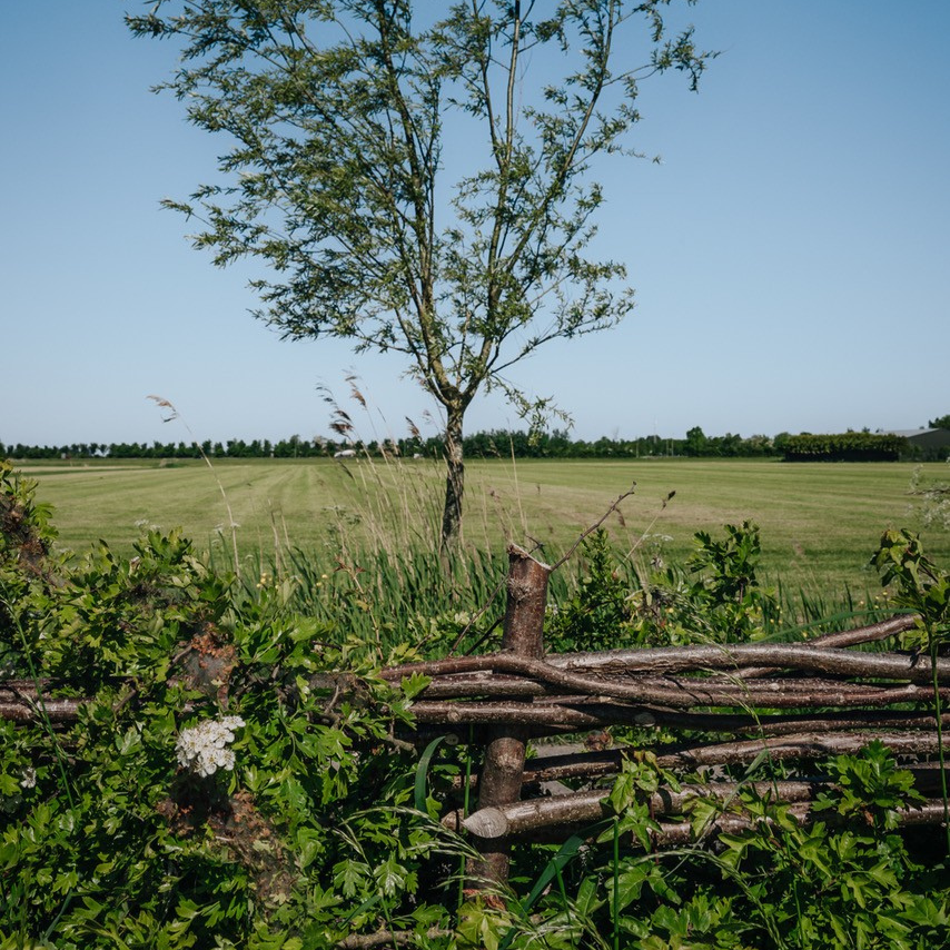 biologisch boeren in Friesland