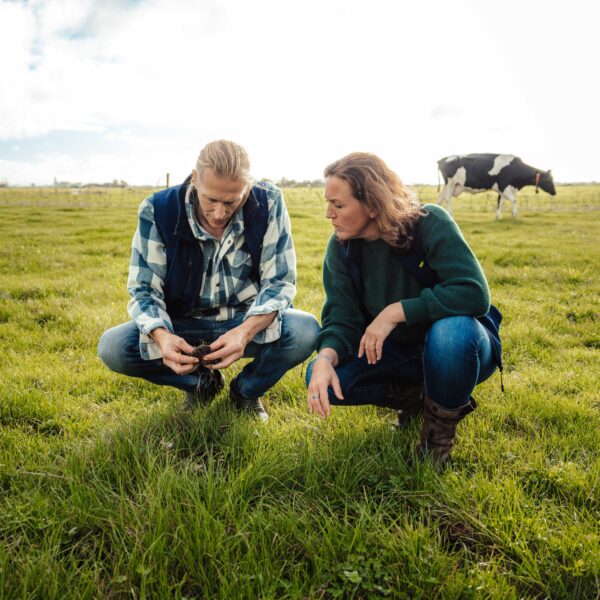 Woudstra's Pleats + IJstuin_LR-051