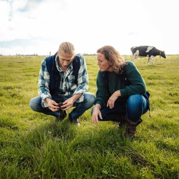 Woudstra's Pleats + IJstuin_LR-051