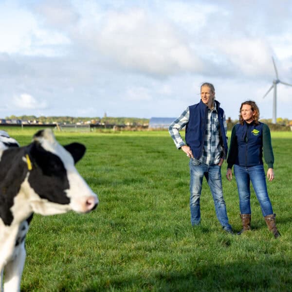 Woudstra's Pleats + IJstuin_LR-057