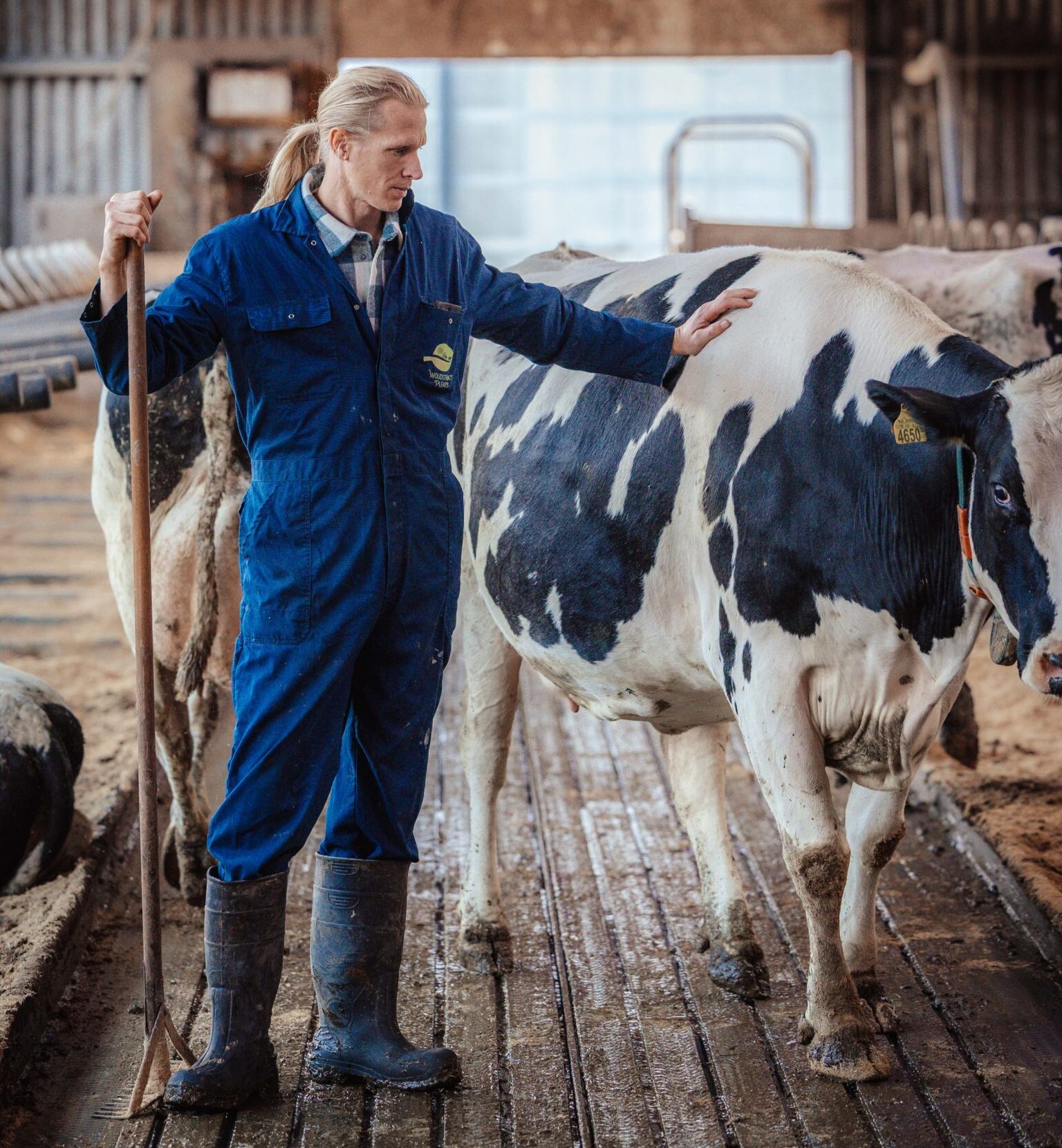 Vergaderlocatie op boerderij bij Leeuwarden met uitzicht op stal